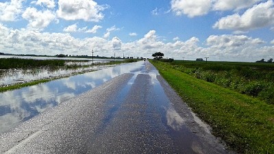Por la lluvia, el 10% de la soja en la zona núcleo corre riesgos