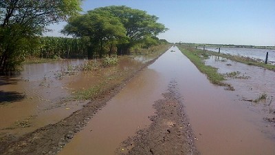 El BNA dispuso beneficios extraordinarios para productores afectados por los incendios