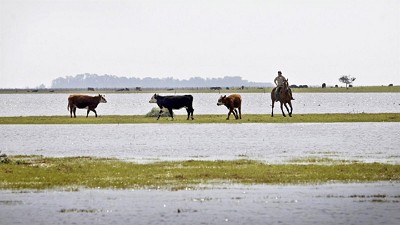 Inundaciones y sequía ponen en riesgo la siembra de soja en un millón de hectáreas