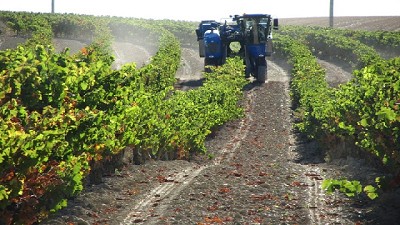 Cosecha con maquinaria compartida