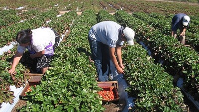 Las 10 economías regionales que mejoraron sus exportaciones y las 14 que cayeron el año pasado