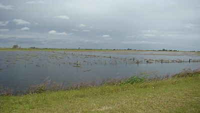 CARBAP insta a acelerar los tiempos de declaración de emergencia y desastre agropecuario