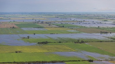 Amadeo Nicora:“Los técnicos del INTA están trabajando en este contexto de emergencia”
