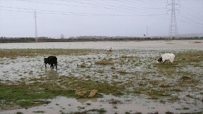 Llegó la ayuda del Ministerio de Agroindustria para los productores afectados