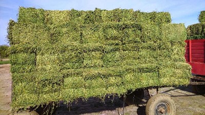 Se entregaron 12 mil fardos de pasto para productores afectados por los incendios 