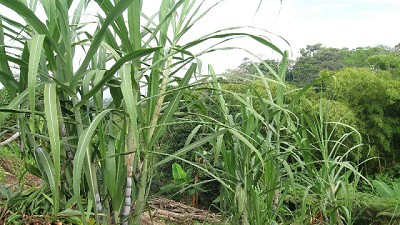 Cambio de tendencia en las exportaciones de Alimentos y Bebidas de las Economías Regionales
