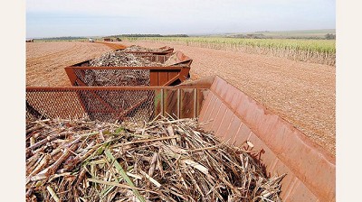 Exportaciones de productos regionales crecieron 22% tras cinco años de caídas