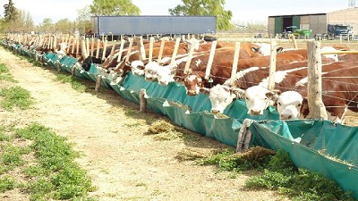 Incendios: cómo planificar la alimentación del ganado