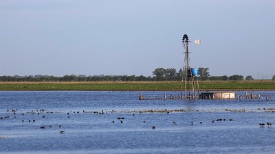 Con angustia, los productores sacan las cuentas de lo perdido