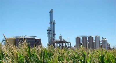 Energías renovables: Bioeléctrica comienza las obras de una inversión por US$ 12 millones