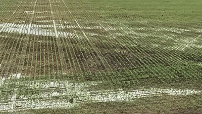 Inundaciones e incendios: prorrogan impuestos en Buenos Aires