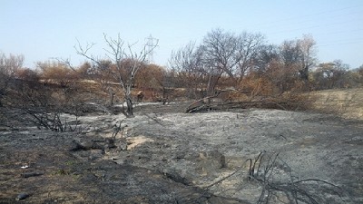 Nación homologará la Emergencia por incendios en Río Negro 