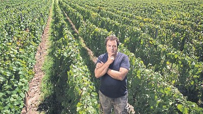 Alejandro Vigil, un trabajador de la viña