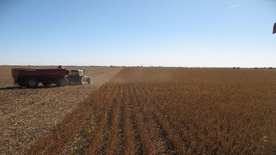 En el campo volvieron las actividades agrícolas 