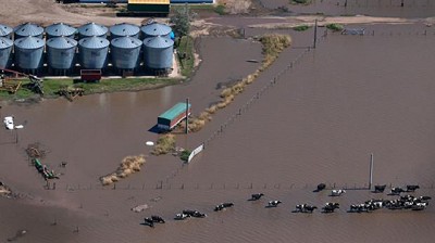 Lácteos: subiría el precio por la baja de la producción en Córdoba y Santa Fe