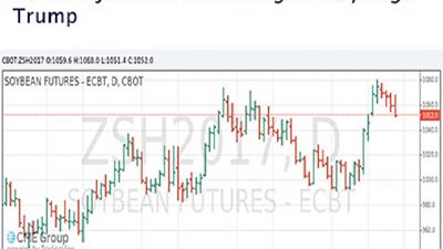 La soja bajo el efecto clima Sudamérica y Trump
