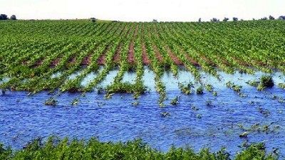 Manejo del riesgo climático: el sistema de auxilios y seguros se volvió obsoleto e insuficiente