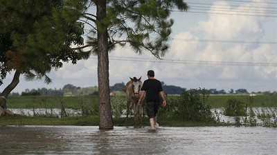 Dejó de llover hace 12 días, pero el agua baja lento y deteriora la producción en Santa Fe
