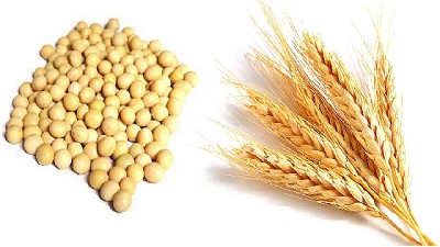 Soja y trigo: declaraciones juradas