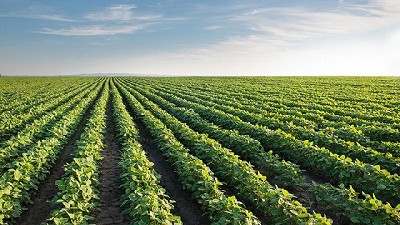Lluvias en el sudeste bonaerense alivian el déficit hídrico en la región
