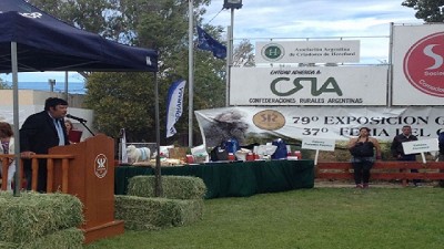 Chiesa: “Es inviable cualquier actividad productiva con un 50% de presión impositiva”