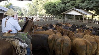 Nuevos procedimientos para los establecimientos que intervienen en la exportación a la UE