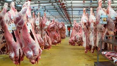 La producción de carne vacuna de enero se ubicó un 10% por encima del 2016