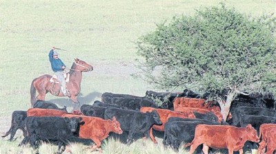 Más burocracia: la carga administrativa complica las tareas productivas