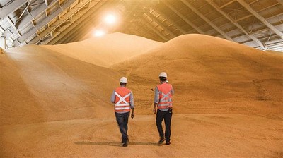 El top ten de los exportadores de granos: los ganadores en 2016