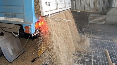 La molienda de soja superó las 40 millones de toneladas en 2016 y fue récord