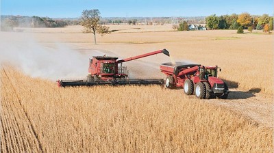 La soja subió 1,6% en Chicago y el maíz tocó su máximo en siete meses