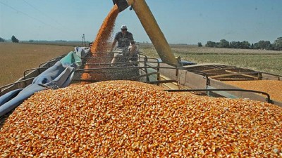 En medio de la pelea con Trump, México evalúa comprar maíz y soja en la Argentina