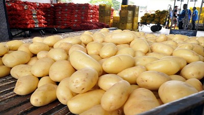 Malestar por el ingreso de papa brasileña en el Mercado Central