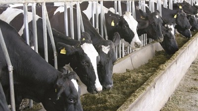 Crece la inoculación y la calidad de los silos