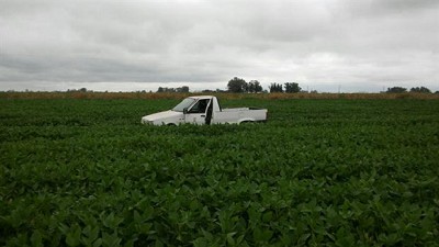 La soja en Córdoba, con lotes muy buenos y otros afectados por los excesos hídricos