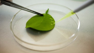 Biotecnología: Nueva apertura de comentarios al público