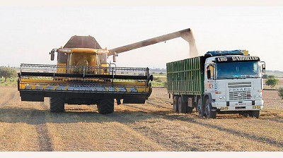 Con cláusula gatillo, acuerdan suba de 12% para el flete cerealero