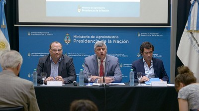 Buryaile anunció una producción récord de trigo de 18,3 millones de toneladas