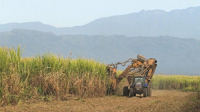Boom de exportaciones de azúcar: subieron 211% en volumen