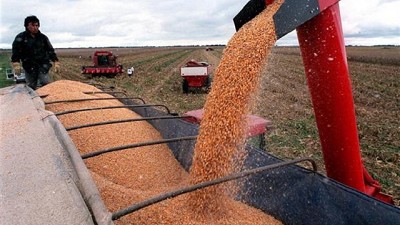 IVA: propuestas ante una pesada carga