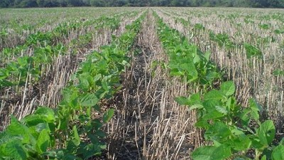 En las campañas difíciles, con tecnología hay diferencias