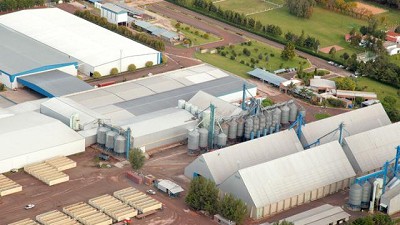 Generarán electricidad con cáscara de maní