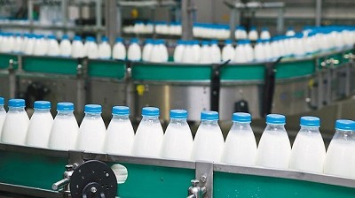 Aimaro advirtió que se podría llegar a importar leche