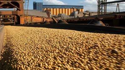 Los Complejos de oleaginosa, cereales y bovinos representan el 49,1% de las exportaciones 2016