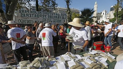 Impulsan una modificación del Instituto Nacional de la Yerba Mate