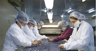 Convocatoria de proyectos para pymes agroalimentarias y agroindustriales