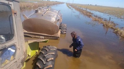 Graves problemas para sacar la producción de leche en General Villegas