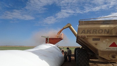 El desafío de almacenar granos húmedos