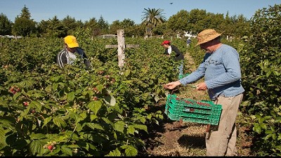 Financiamiento internacional para promover el desarrollo del norte argentino