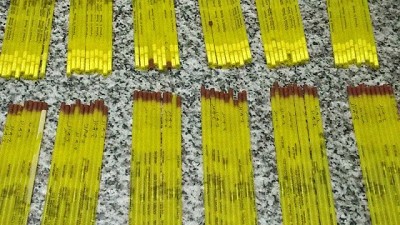 Detección de una partida importada de semen equino congelado infectado con Arteritis Viral Equina